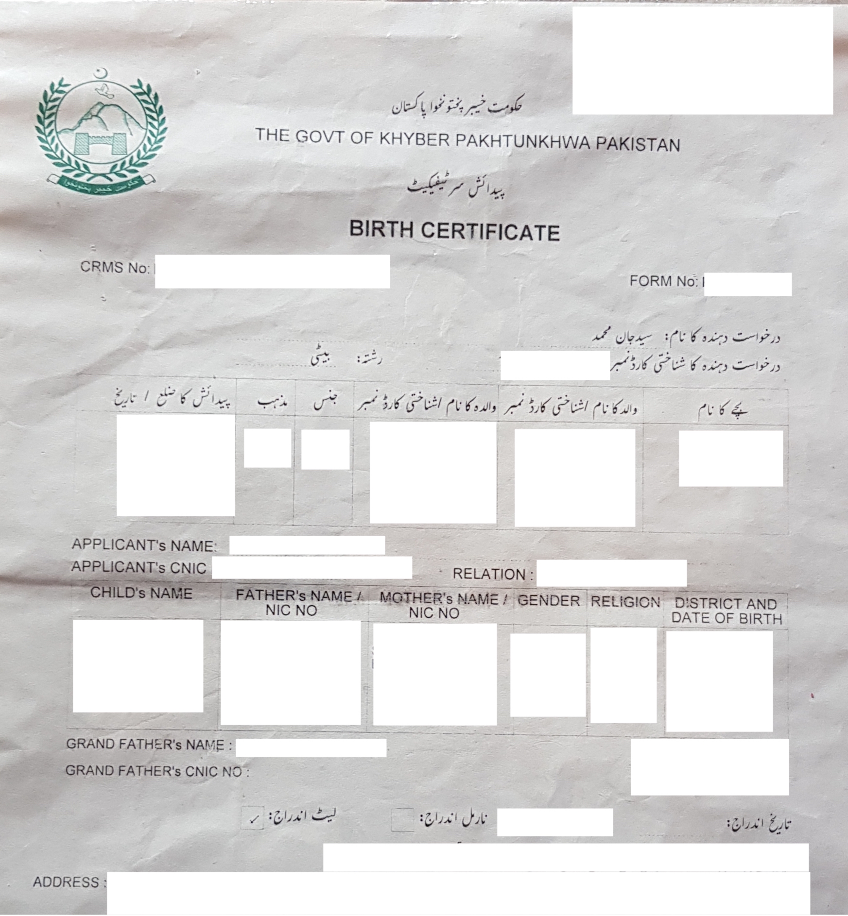 Pakistani Birth Certificate from Urdu to English